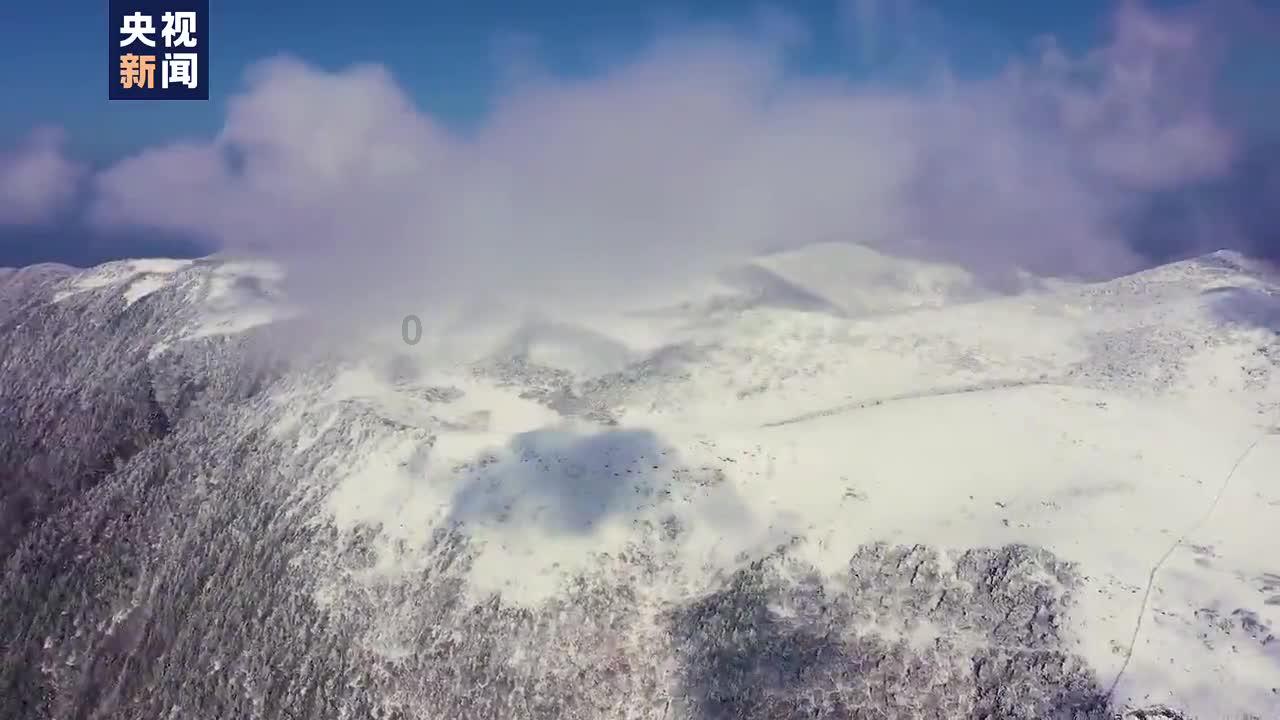 隐藏的金色星星